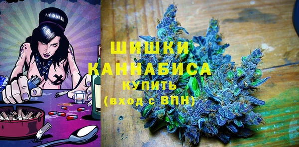 PSILOCYBIN Богородск